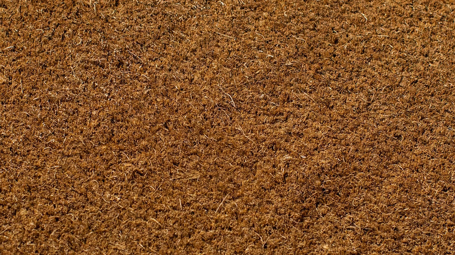 Coir Matting Zoomed
