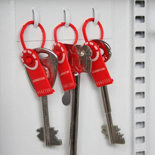 Key Cabinets - Standard - 20